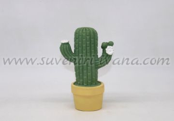 Декоративен светещ кактус в саксийка