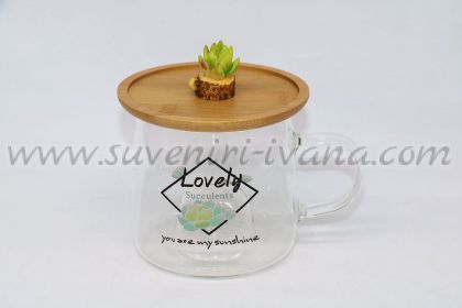 стъклена чаша сукуленти с бамбуково капаче