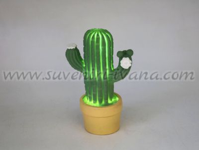 кактус със светещи лампички