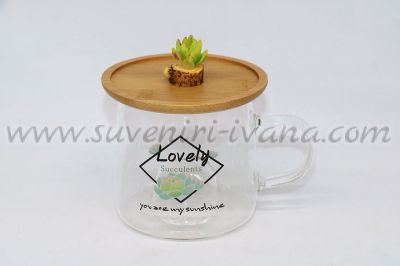 Стъклена чаша 'Lovely Succulents', модел едно