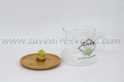 стъклена чаша кактуси сукуленти
