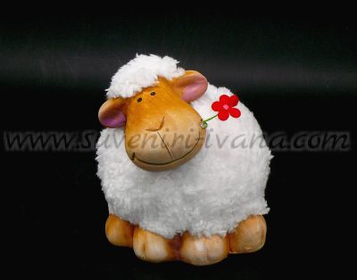 овца касичка